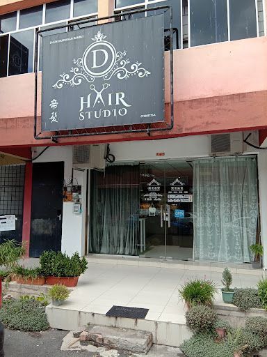 D Hair Studio